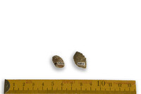 F 03876
<br/>
<br/>
<em></em>